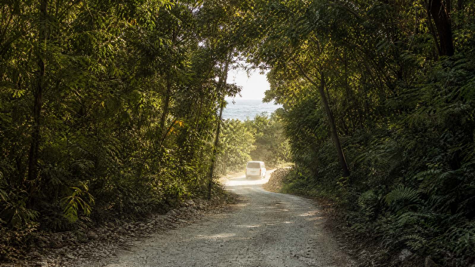 The sealed road down through the estate to the beach, palms either side.