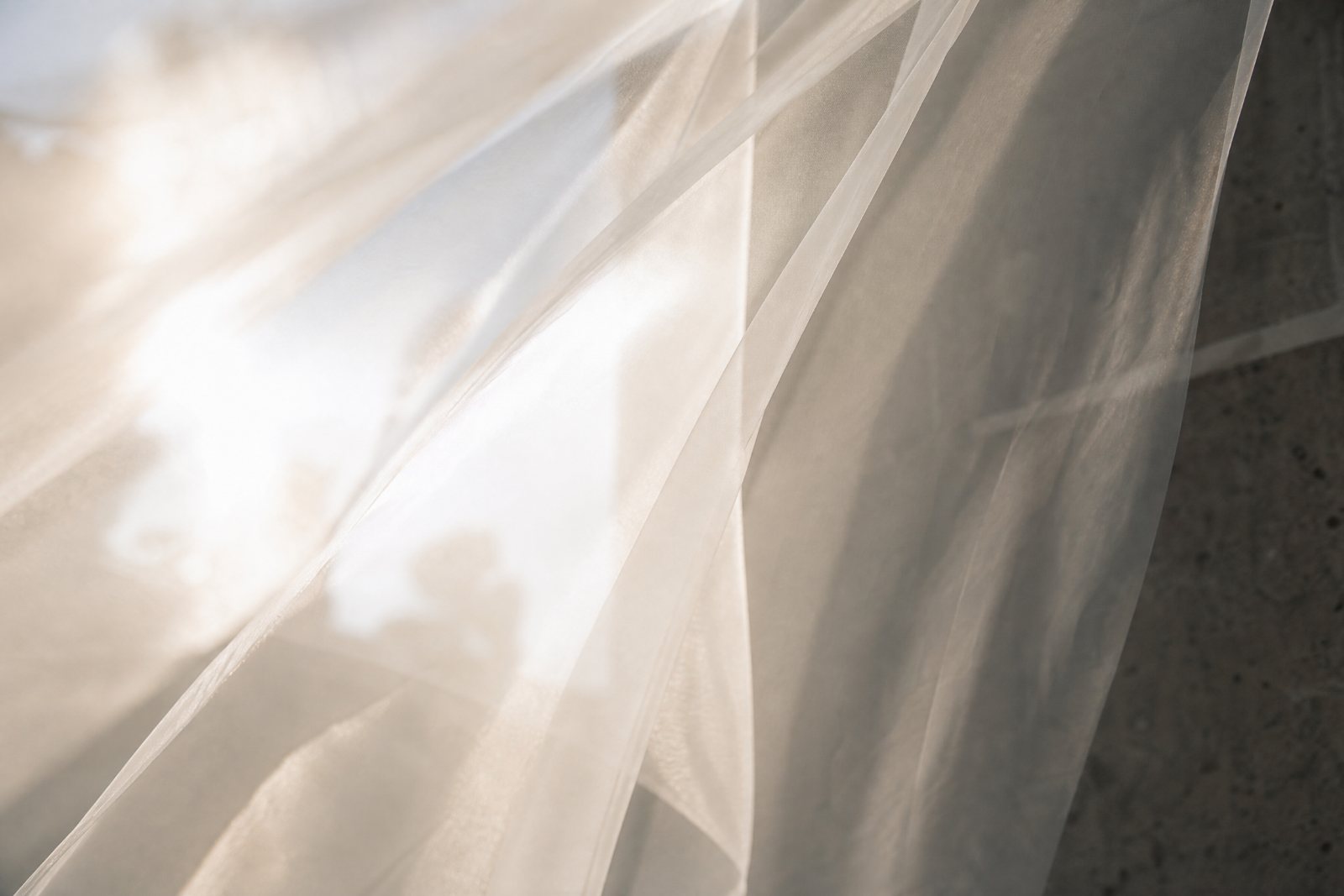A veil held up to the light, backlit, edges glowing.